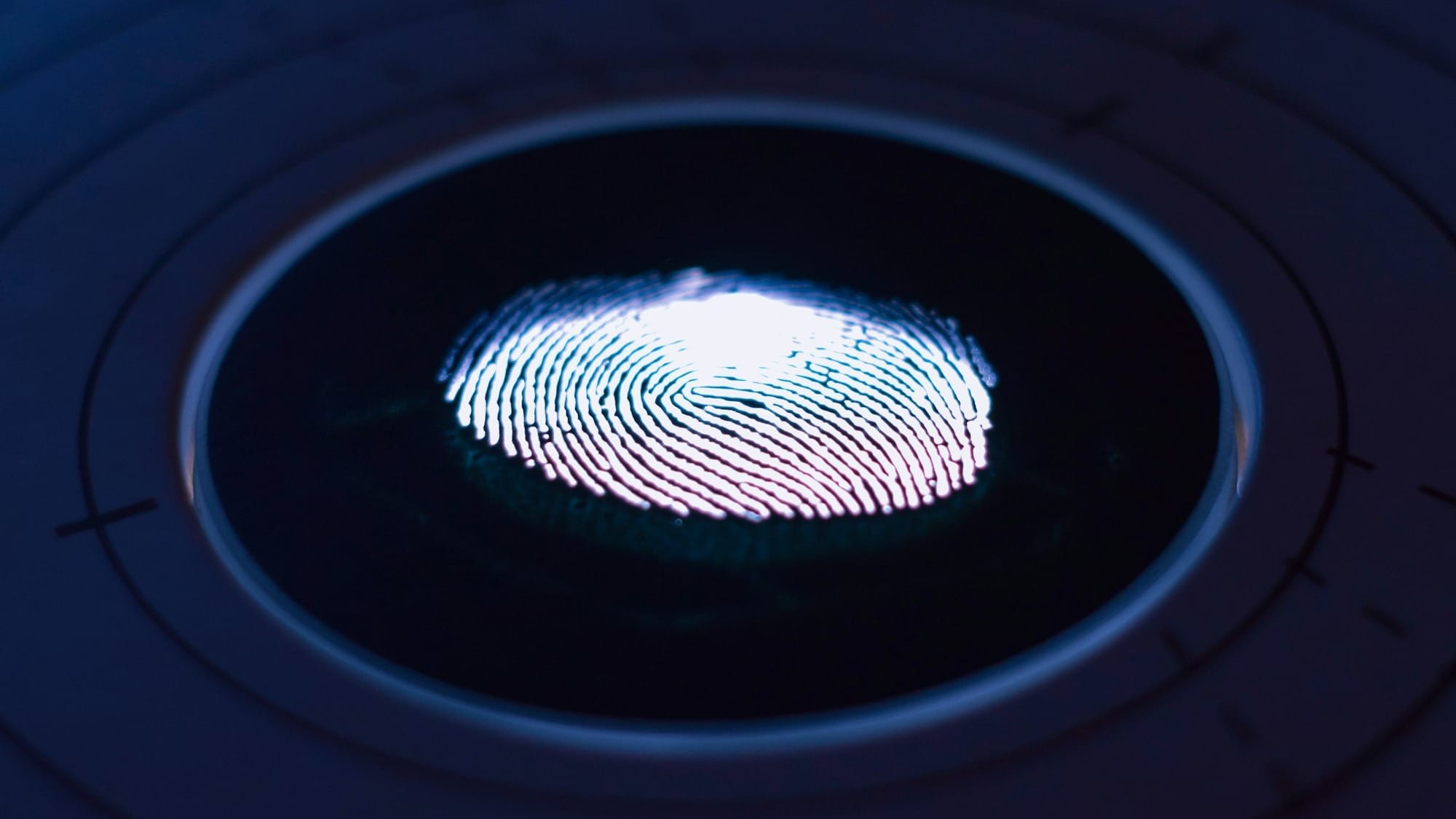 How to Become a Biometric Systems Engineer in 2025