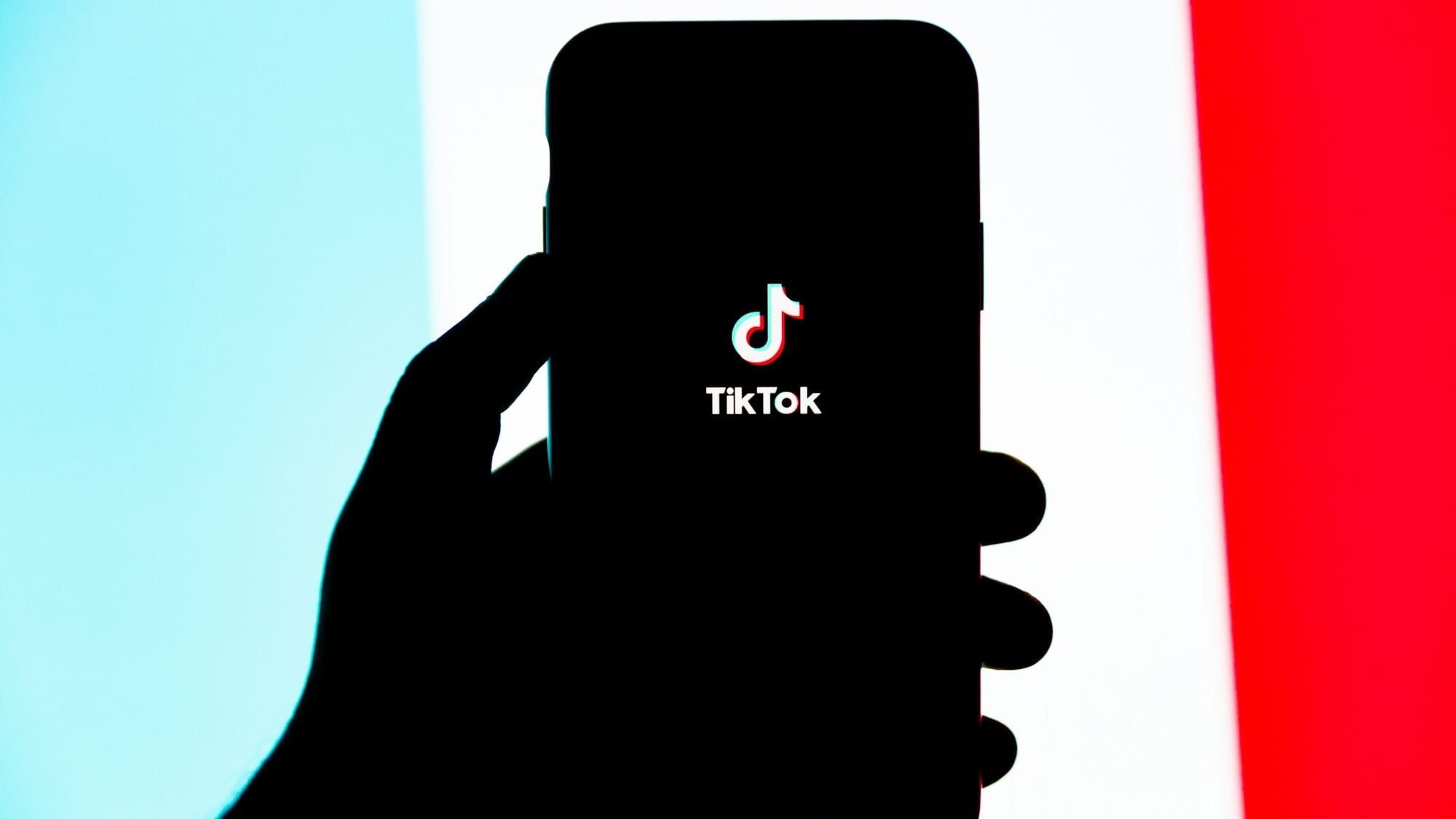 Will TikTok’s U.S. operations be sold to Elon Musk?