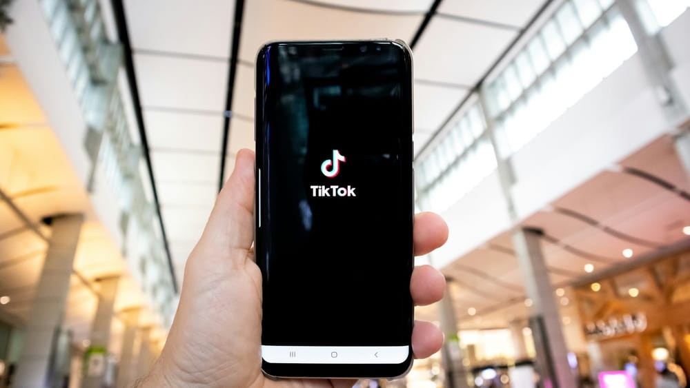 TikTok creators just got a new way to get paid post image