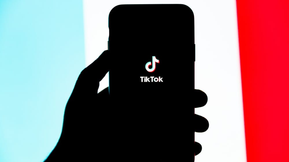 Will TikTok’s U.S. operations be sold to Elon Musk? post image